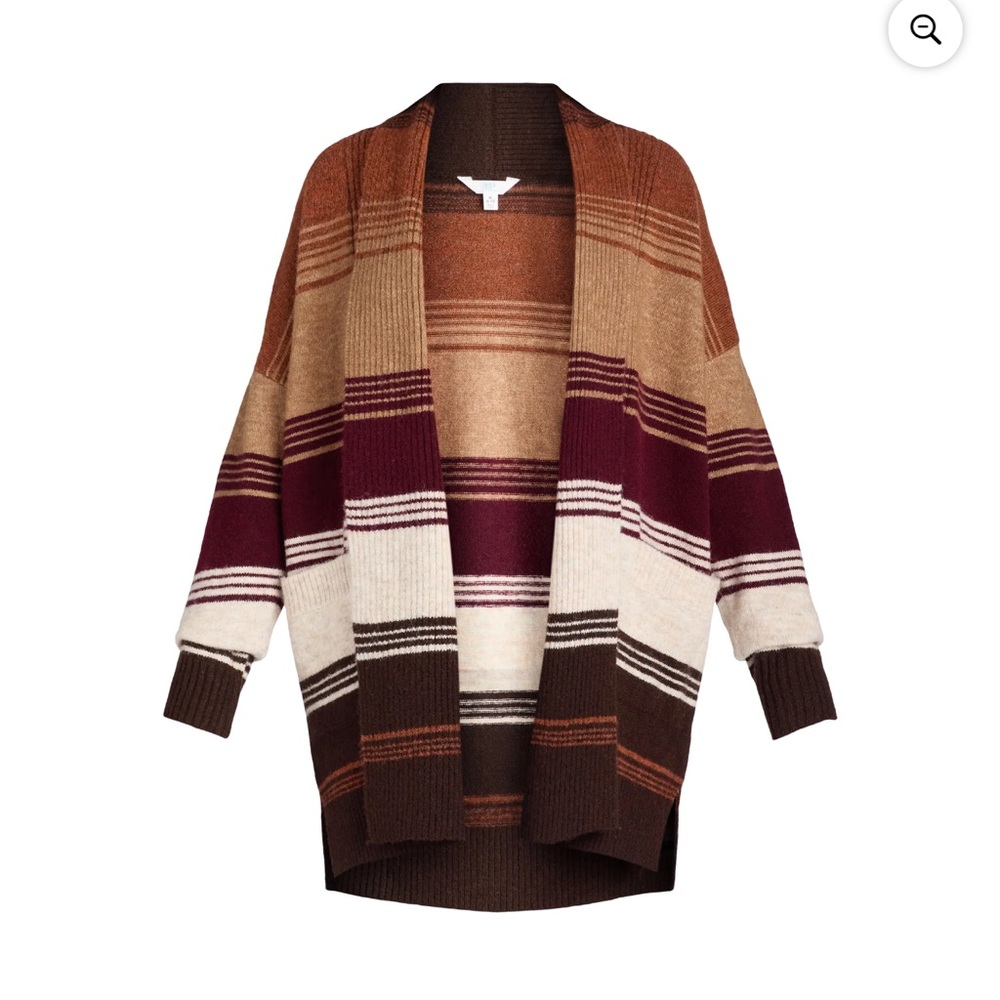 Time and Tru Large Women's Sweater in Earthy Stripes